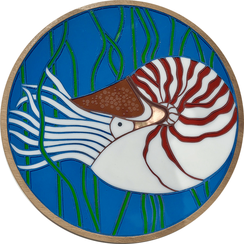 nautilus